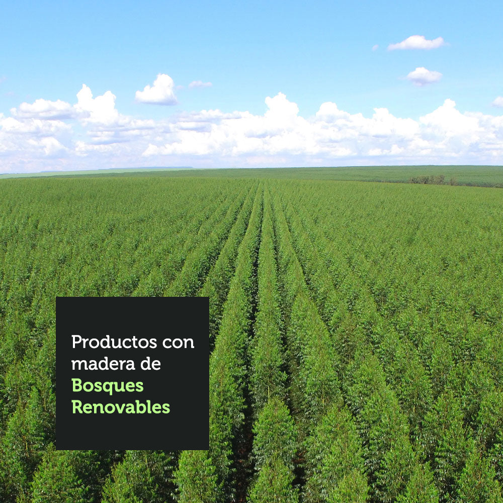 Clóset Soltero 2 Puertas Corredizas con Espejo 4 Cajones con Pies Marrón Dallas Plus