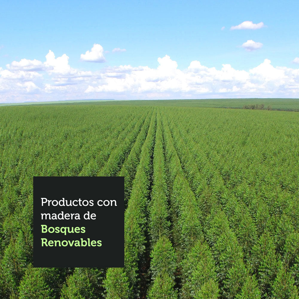 Mesa de Comedor Rectangular Tablero de Vidrio Marrón/Negro 5275 Madesa