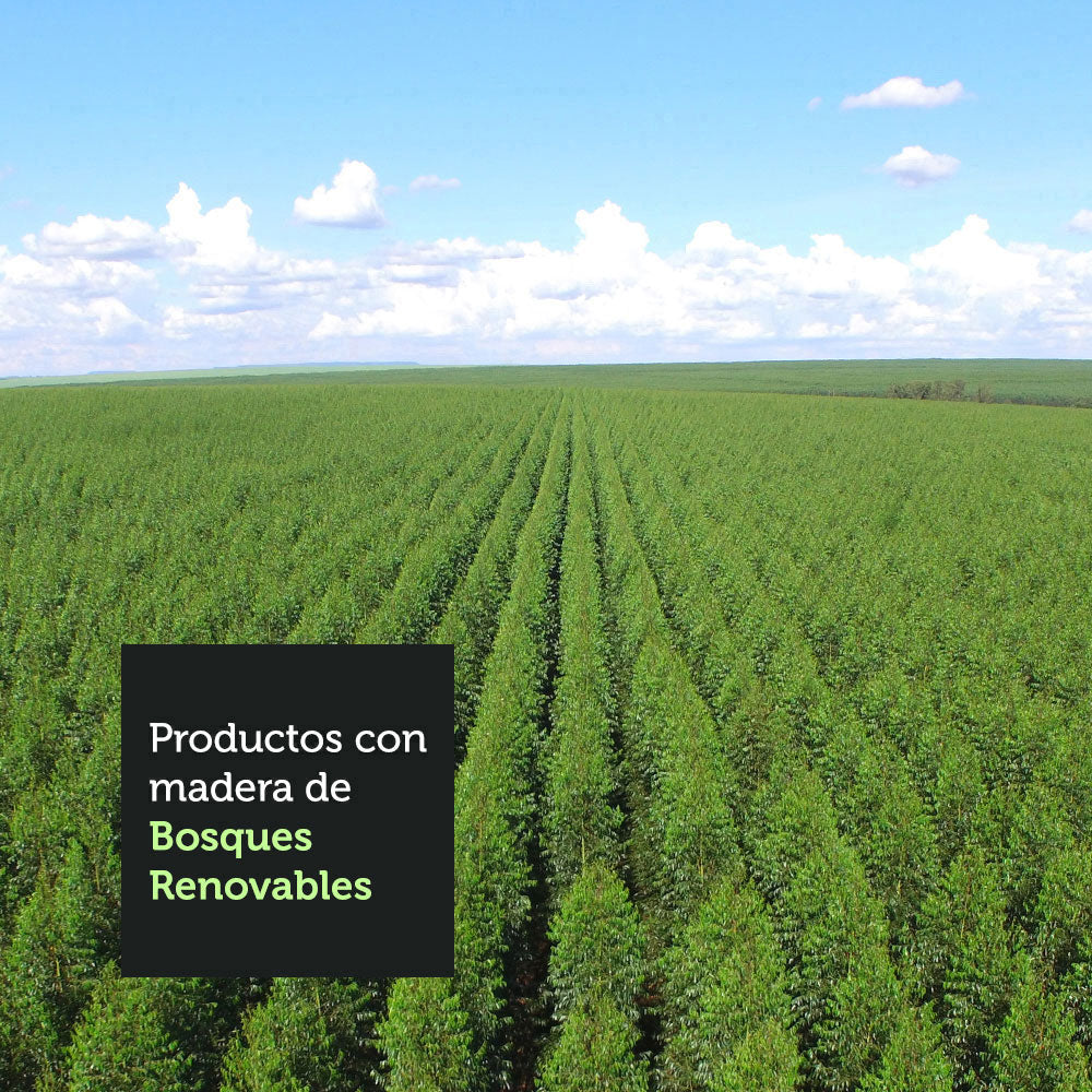 Juego de Comedor Madesa Luciana Mesa con Tablero de Madera y 6 Sillas Marrón/Negro/Imperial