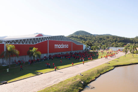 impacto social de madesa