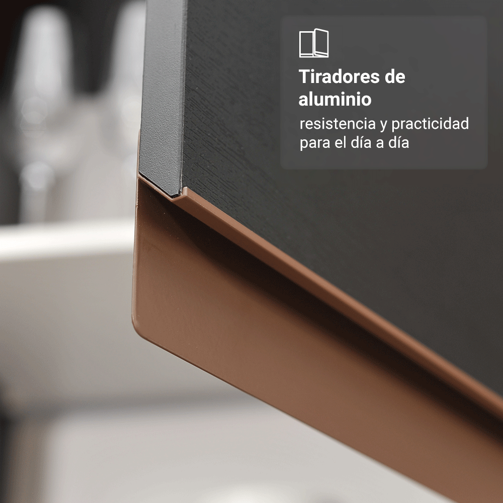 Mueble de Cocina para Fregadero 2 Puertas y 1 Cajón Negro Reims
